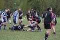 RUGBY CHARTRES 084.JPG